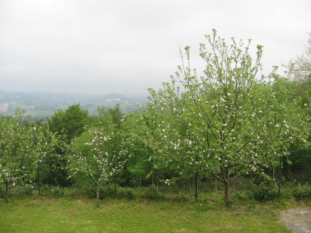 Agroturismo Kostegi Urnieta Exterior foto